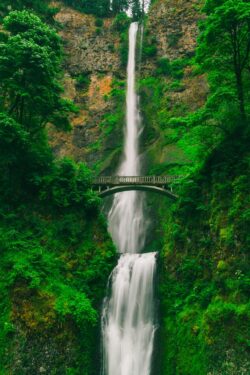 Tall waterfall with bridge above Tall waterfall and bridge in green forest